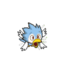 Parakeru