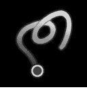 Rune