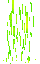 animation 01