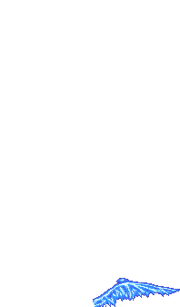 animation 16