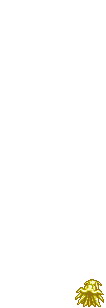 animation 03